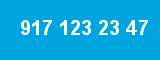 917 123 23 47 917 123 23 47